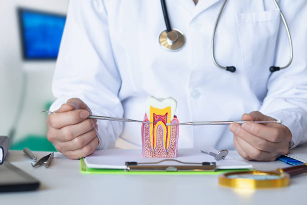 Best Cosmetic Emergency Dentistry in Cardington, OH